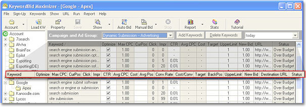 Google Adwords Interface