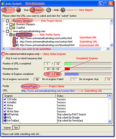 Automated Search Engine Submission