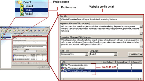 Web Project Structure