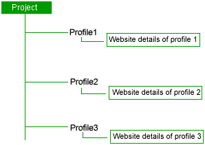 Web Profile